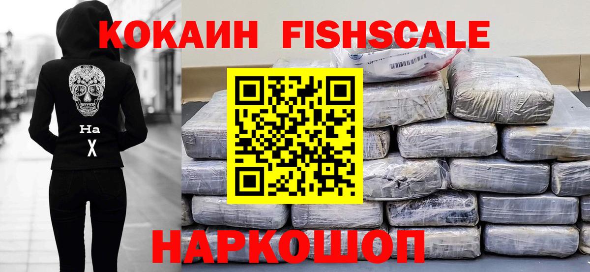 Мичуринск  Кокаин Fish Scale  купить наркотики цена  COCAIN 97%  Вход с VPN 