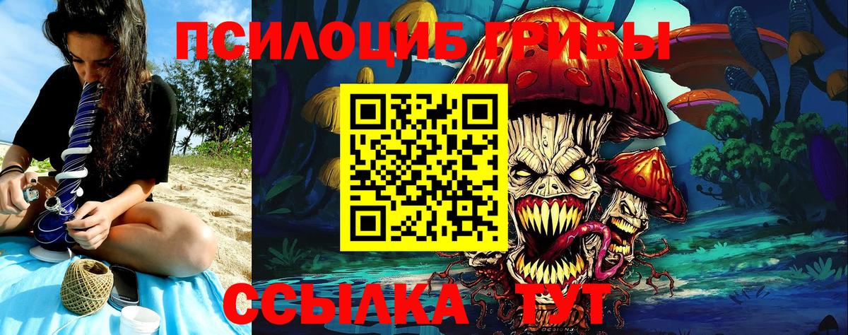 Псилоцибиновые грибы MAGIC MUSHROOMS Мичуринск