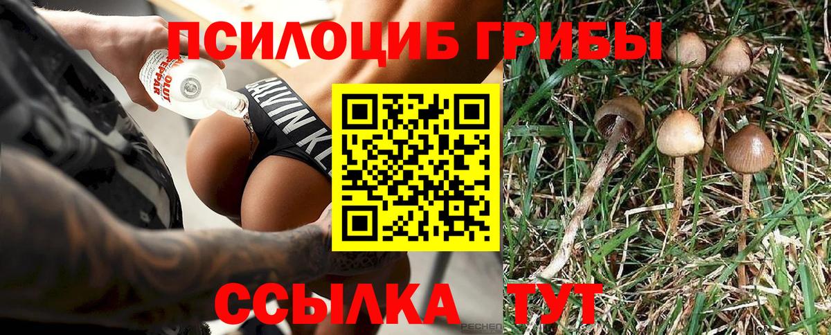Псилоцибиновые грибы Мичуринск