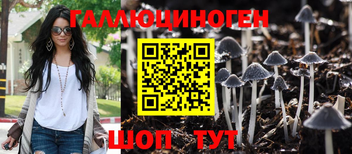 Мичуринск  Галлюциногенные грибы мухоморы  Вход с VPN 